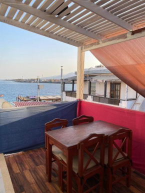 Shrimpoo Dahab